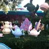 Tea cups at Disney.