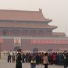 Tea Traveler in the Forbidden City, China